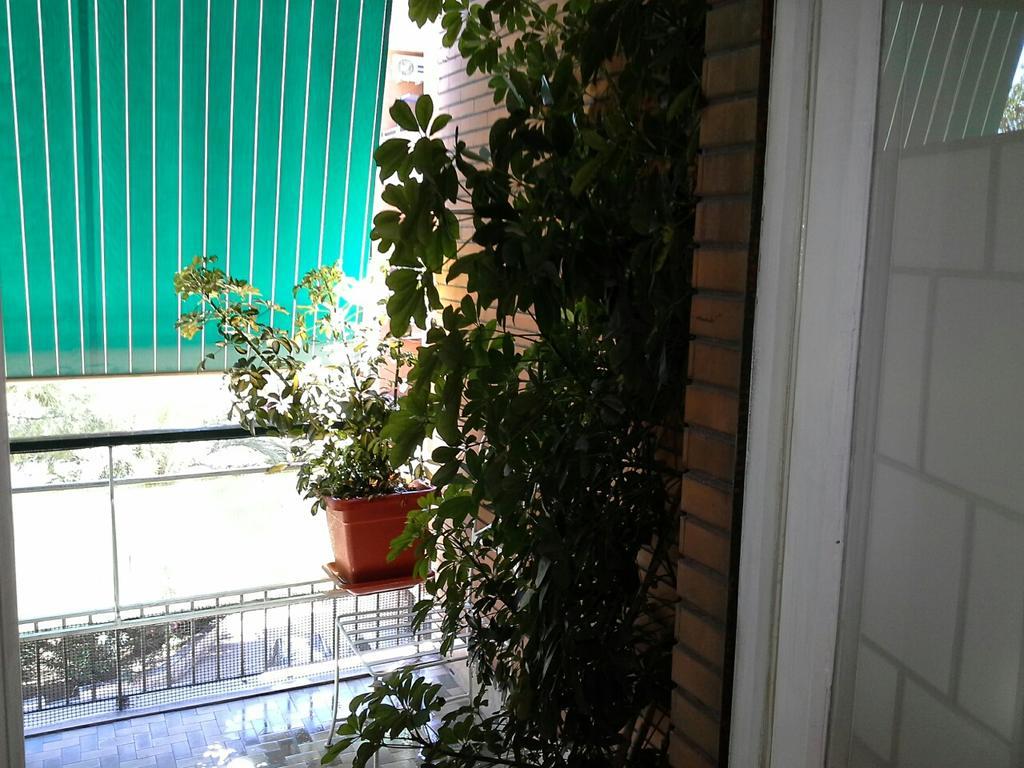 רומא Olimpica Relais Guest House מראה חיצוני תמונה